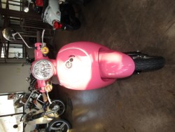 �z���_�W�����m�i���Q�����R�s�j�摜3