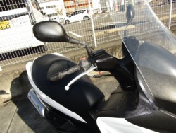 �X�Y�L�o�[�O�}��200�i���Q�����R�s�j�摜12