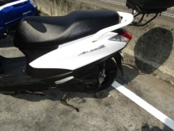 ���}�n�A�N�V�XZ�i���Q�����R�s�j�摜10