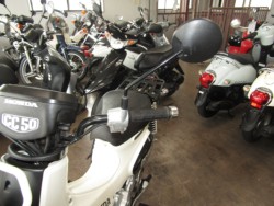 �z���_�N���X�J�u50�i���Q�����R�s�j�摜14