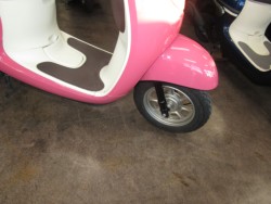 �z���_�W�����m�i���Q�����R�s�j�摜5