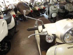 �z���_�W�����m�i���Q�����R�s�j�摜13