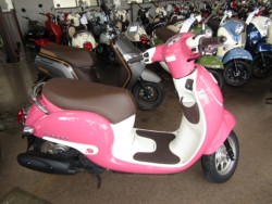 �z���_�W�����m�i���Q�����R�s�j�摜1