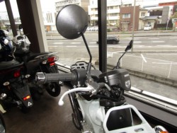 �z���_�N���X�J�u110�i���Q�����R�s�j�摜13