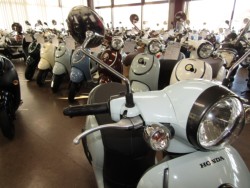 �z���_�W�����m�i���Q�����R�s�j�摜13