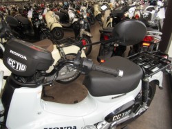 �z���_�N���X�J�u110�i���Q�����R�s�j�摜14