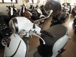 �z���_�W�����m�i���Q�����R�s�j�摜14