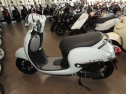 �z���_�W�����m�i���Q�����R�s�j�摜2