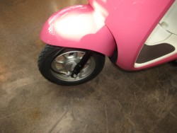 �z���_�W�����m�i���Q�����R�s�j�摜10