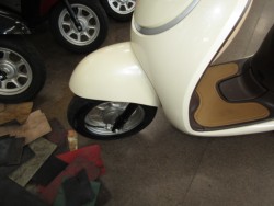 �z���_�W�����m�i���Q�����R�s�j�摜10