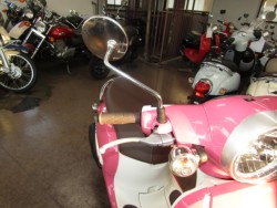 �z���_�W�����m�i���Q�����R�s�j�摜13