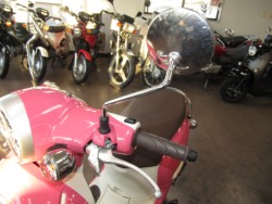 �z���_�W�����m�i���Q�����R�s�j�摜14