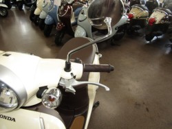 �z���_�W�����m�i���Q�����R�s�j�摜14