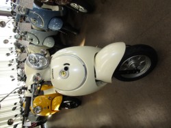 �z���_�W�����m�i���Q�����R�s�j�摜3