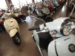 �z���_�W�����m�i���Q�����R�s�j�摜13