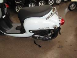 �z���_�W�����m�i���Q�����R�s�j�摜8