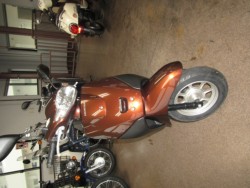 �z���_�^�N�g�E�x�[�V�b�N�i���Q�����R�s�j�摜3