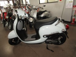 �z���_�W�����m�i���Q�����R�s�j�摜2