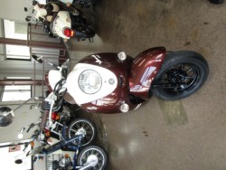 ���}�n�r�[�m�i���Q�����R�s�j�摜3