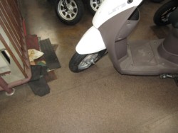 �X�Y�L���b�cG�i���Q�����R�s�j�摜10