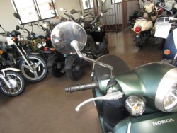 �z���_�W�����m�i���Q�����R�s�j�摜13