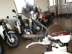 ���}�n�r�[�m�i���Q�����R�s�j�摜13