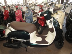 �z���_&nbsp;�W�����mDX 