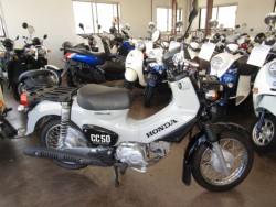 �z���_&nbsp;�N���X�J�u50 