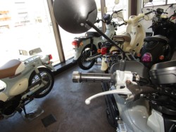 �z���_�N���X�J�u50�i���Q�����R�s�j�摜13