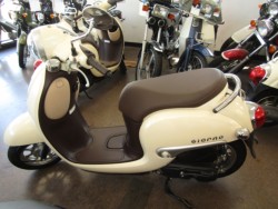 �z���_�W�����m�i���Q�����R�s�j�摜2