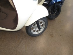 �z���_�W�����m�i���Q�����R�s�j�摜5