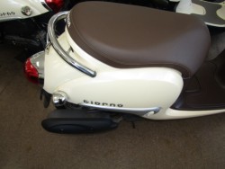 �z���_�W�����m�i���Q�����R�s�j�摜7