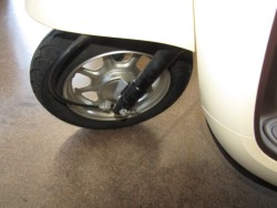 �z���_�W�����m�i���Q�����R�s�j�摜10