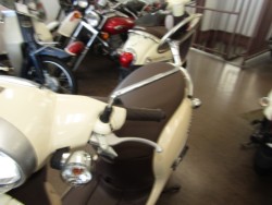 �z���_�W�����m�i���Q�����R�s�j�摜14