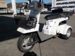 �z���_�W���C��X�i���Q�����R�s�j�摜14