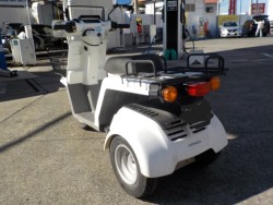 �z���_�W���C��X�i���Q�����R�s�j�摜15