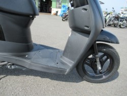 �X�Y�L���b�c�i���Q���ɗ\�S���O���j�摜19