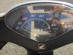 �z���_�f�B�I�i���Q�����R�s�j�摜7