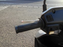 �z���_�f�B�I�i���Q�����R�s�j�摜10