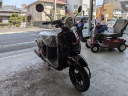 �z���_�W�����m�E�X�|���g�i���Q�����R�s�j�摜2