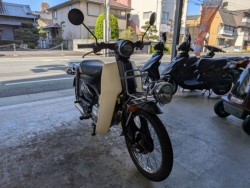 �z���_�v���X�J�u�i���Q�����R�s�j�摜2