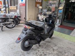�z���_�f�B�I�i���Q�����R�s�j�摜8