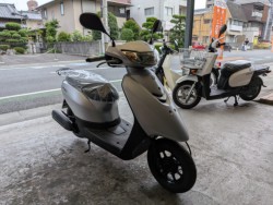���}�n�W���O�i���Q�����R�s�j�摜2