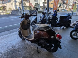 �z���_�W�����m�i���Q�����R�s�j�摜6