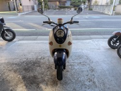 ���}�n�r�[�m�i���Q�����R�s�j�摜3