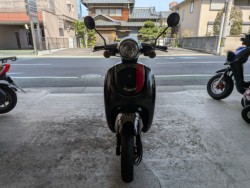 �z���_�W�����m�E�X�|���g�i���Q�����R�s�j�摜3