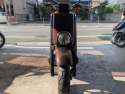 ���}�nVOX�i���Q�����R�s�j�摜3