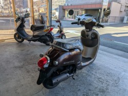 �z���_�W�����m�i���Q�����R�s�j�摜8