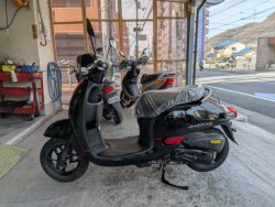 �z���_�W�����m�E�X�|���g�i���Q�����R�s�j�摜5