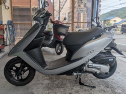 �z���_�f�B�I�i���Q�����R�s�j�摜5